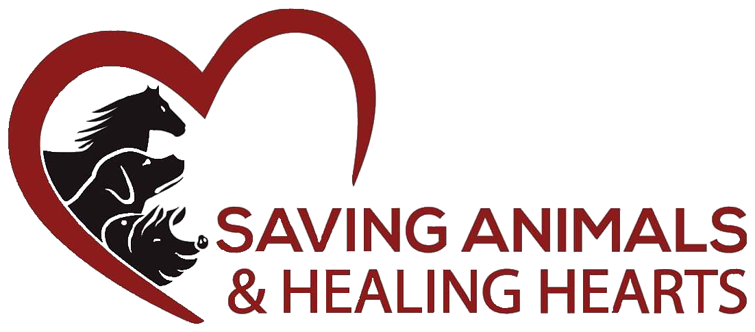 SAHH — Saving Animals & Healing Hearts